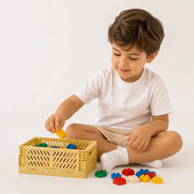 Organizador de brinquedos dobrável em plástico resistente, prático e seguro para manter blocos organizados